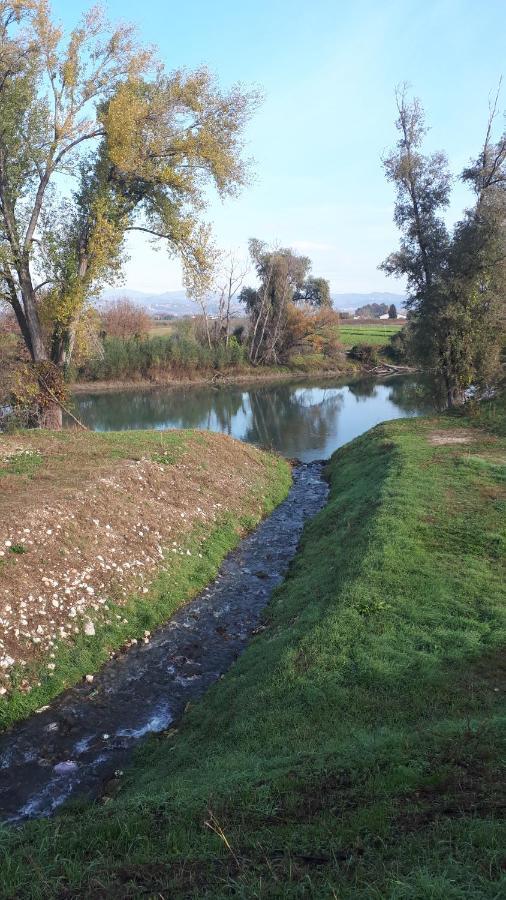 Sulla Ciclabile Apartment Lungo Il Fiume Adige Zevio Eksteriør billede
