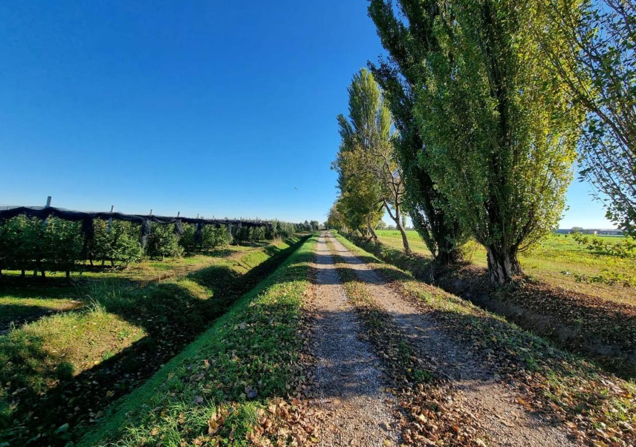 Sulla Ciclabile Apartment Lungo Il Fiume Adige Zevio Eksteriør billede