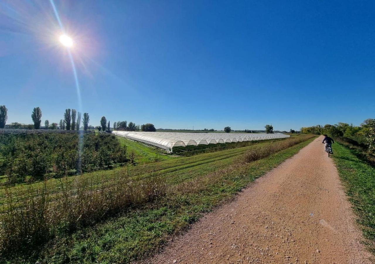 Sulla Ciclabile Apartment Lungo Il Fiume Adige Zevio Eksteriør billede