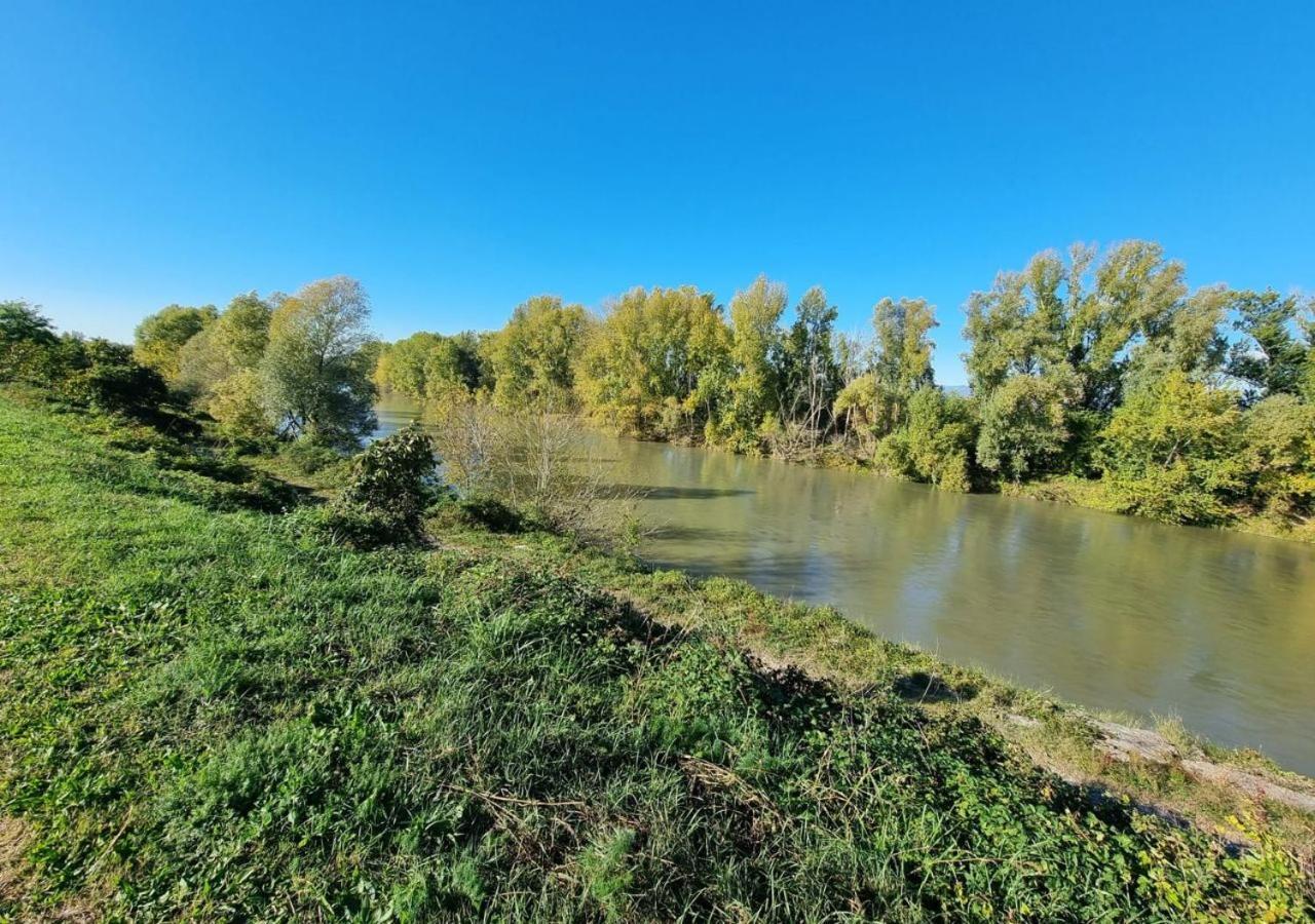 Sulla Ciclabile Apartment Lungo Il Fiume Adige Zevio Eksteriør billede